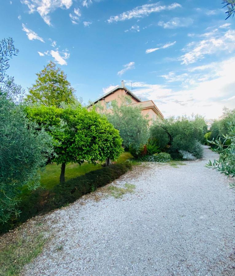 Cali-Formia B&B Exteriör bild