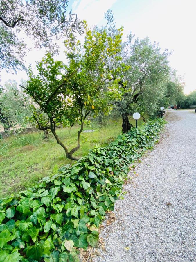 Cali-Formia B&B Exteriör bild
